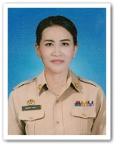 P01 1