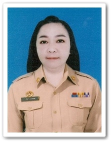 P01 1